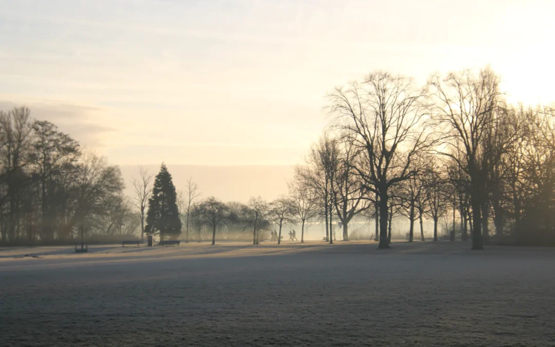 Evenementen in het Flevopark
